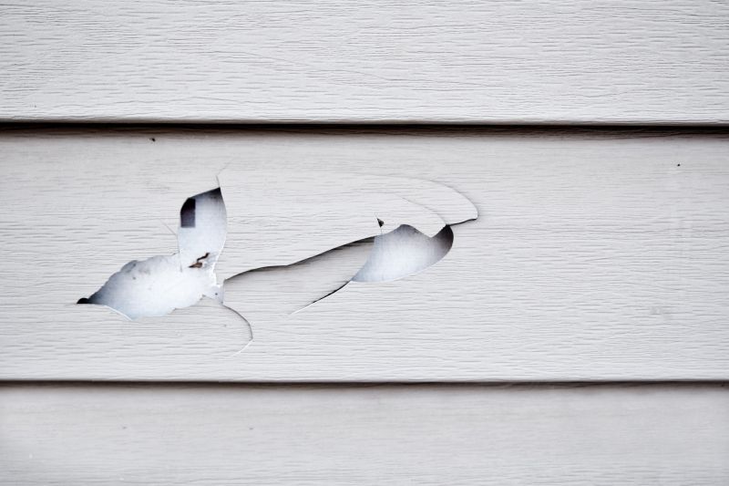 Siding Crack Repair