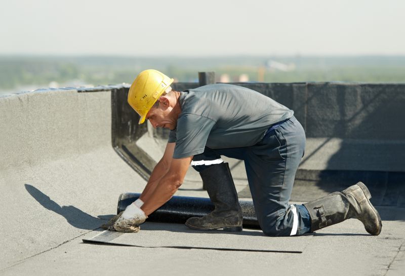 Single Ply Roof Installation in Alexandria, VA